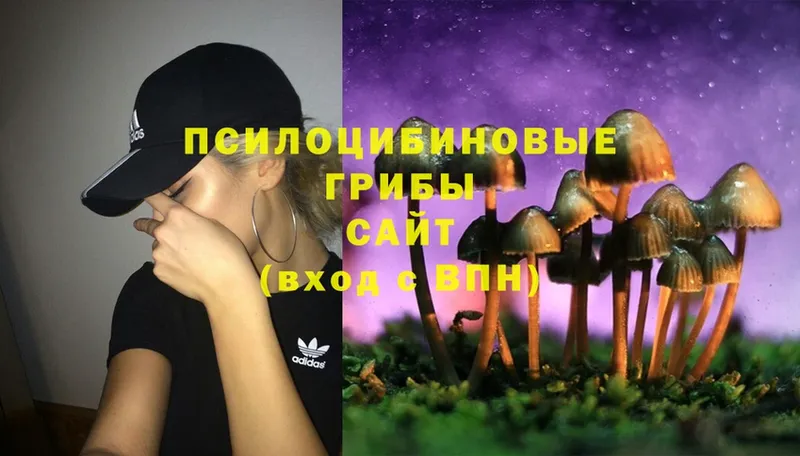 Галлюциногенные грибы Magic Shrooms  сколько стоит  Красноармейск 