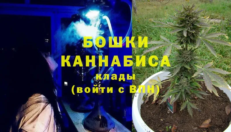 shop как зайти  Красноармейск  Каннабис OG Kush 